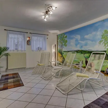 Private Mit Balkon Aussicht Auf Den Wald Apartment Spiegelau