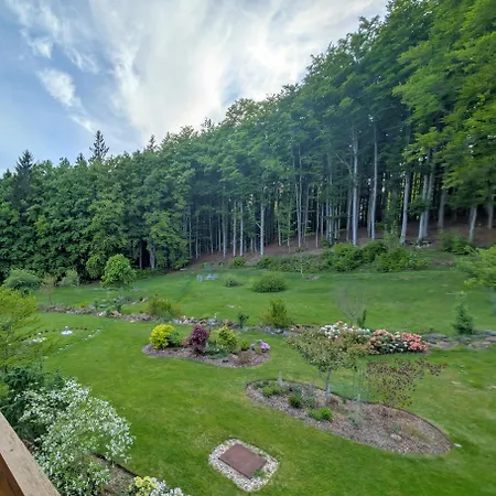 Apartment Private Mit Balkon Aussicht Auf Den Wald Spiegelau